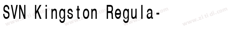 SVN Kingston Regula字体转换